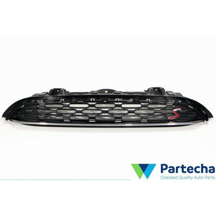 Radiator Grille (7381981)