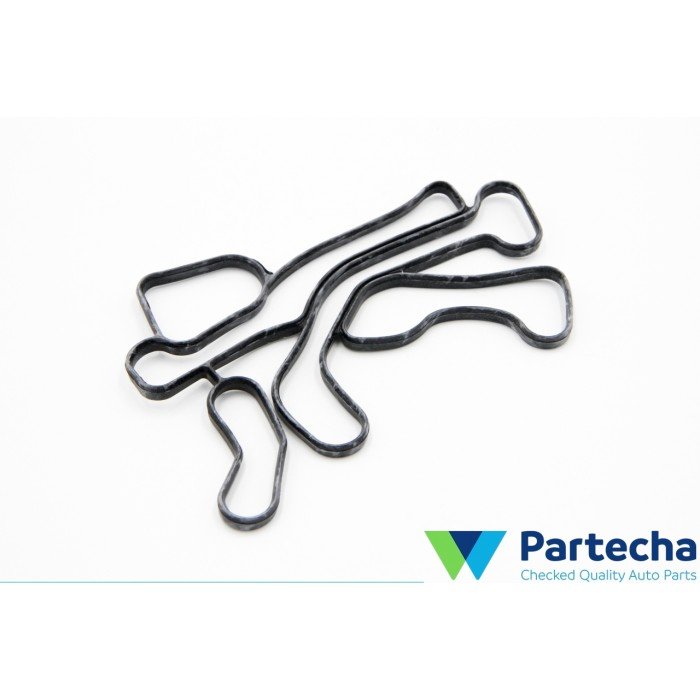 Oil filter housing gasket (LR077242)