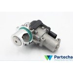 EGR Valves