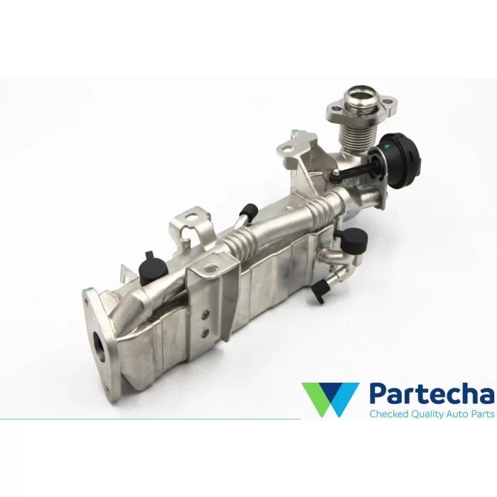 BMW 5 (F10) EGR Valve (11717823210)