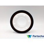 Oil Seals