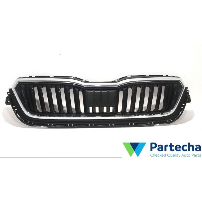 Radiator Grille (657853653)