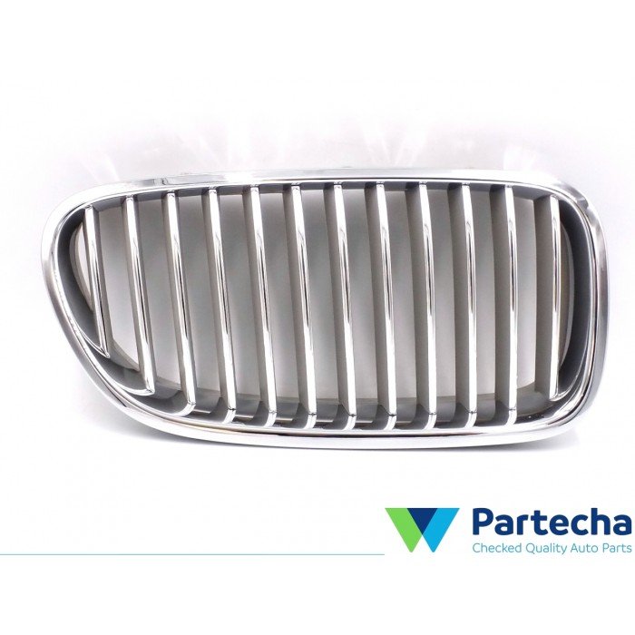 BMW 5 (F10) Front Grille (51137261356)