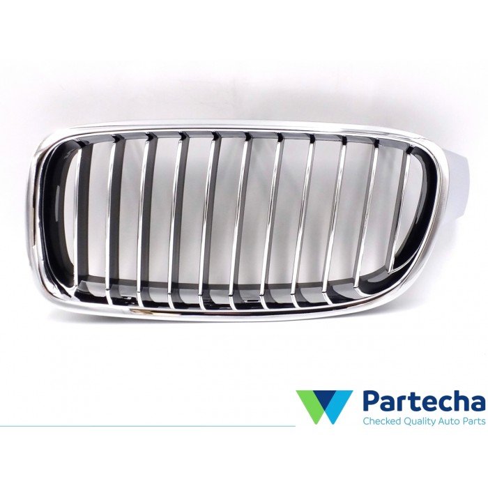 BMW 3 (F30, F80) Front Grille (51137263479)