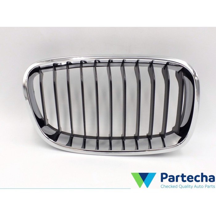 BMW 1 (F21) Front Grille (51137239022)