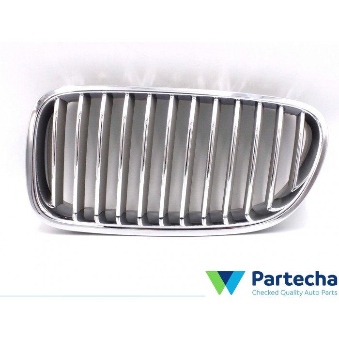 BMW X5 (F15, F85) Front Grille (51137203649)