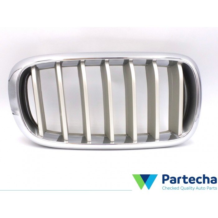 BMW X5 (F15, F85) Front Grille (51137316062)