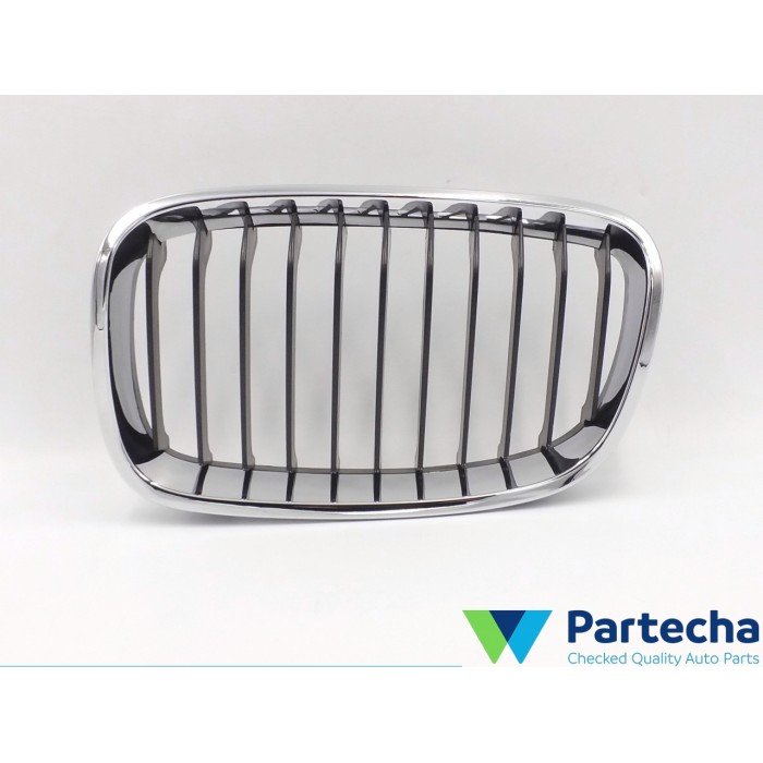 BMW 1 (F20) Front Grille (51137239021)