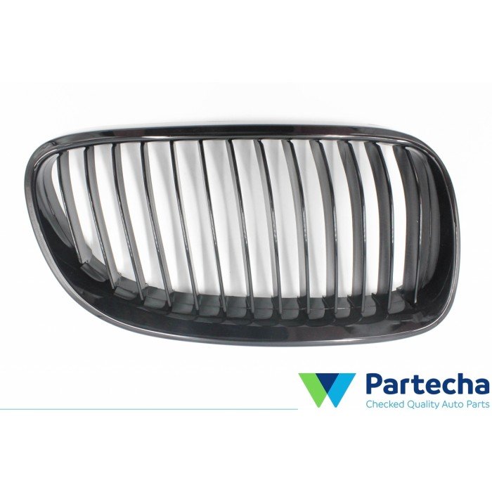 BMW 3 Coupe (E92) Front Grille (51137254970)