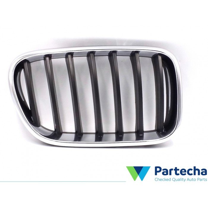 BMW X3 (F25) Front grille (51117210726)