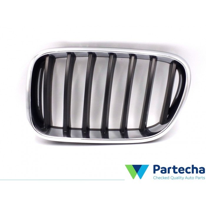 BMW X3 (F25) Front grille (51117210725)