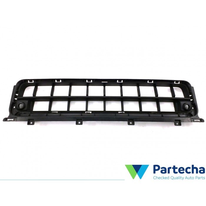 MINI MINI COUNTRYMAN (F60) Front bumper lower grill (51117390525)
