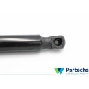 AUDI Q3 (8UB, 8UG) Tailgate strut (8U0827552A)
