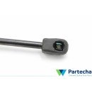 AUDI Q3 (8UB, 8UG) Tailgate strut (8U0827552A)