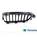 BMW 3 (F30, F80) Front Grille (51137260498)