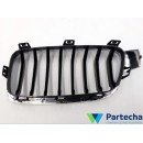 BMW 3 (F30, F80) Front Grille (51137260498)
