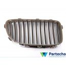 BMW 5 (F10) Front Grille (51137261355)