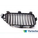 BMW 3 (F30, F80) Front Grille (51137263479)