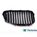 BMW 5 Touring (F11) Front Grille (51137203649)