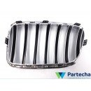 BMW X3 (F25) Front Grille (51117237422)