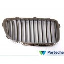 BMW X5 (F15, F85) Front Grille (51137203649)