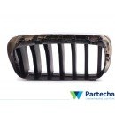 BMW X5 (F15, F85) Front Grille (51137294485)