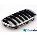 BMW X3 (F25) Front grille (51117210726)