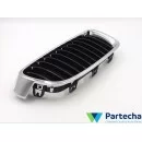 BMW 3 (F30, F80) Front grille (51137255412)