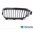 BMW 3 (F30, F80) Front grille (51137255412)