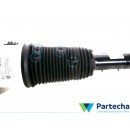 BMW 7 (G11, G12) Suspension Strut (13981113)