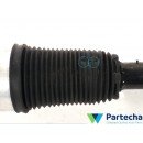 BMW 7 (G11, G12) Suspension Strut (13981113)