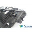 BMW X1 (F48) Headlight (7346538-15)