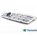 VW PHAETON Radiator Grille (3D0 853 651 AF)