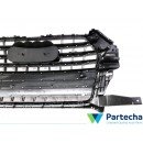 AUDI Q3 (8UB, 8UG) Bumper Grille (Q3PA-SQ3)