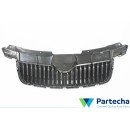 SKODA ROOMSTER (5J) Radiator Grille (5J0853607)