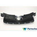 SKODA ROOMSTER (5J) Radiator Grille (5J0853607)
