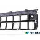 MINI MINI COUNTRYMAN (F60) Front bumper lower grill (51117390525)